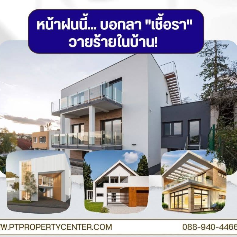 🌧️ ฝนตกบ่อย บ้านชื้น มีกลิ่นอับ? ระวังเชื้อราและแบคทีเรีย