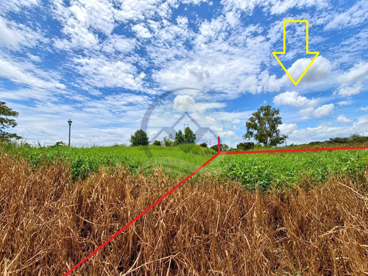 ภาพจำลอง(ขายตามสภาพ) (5)